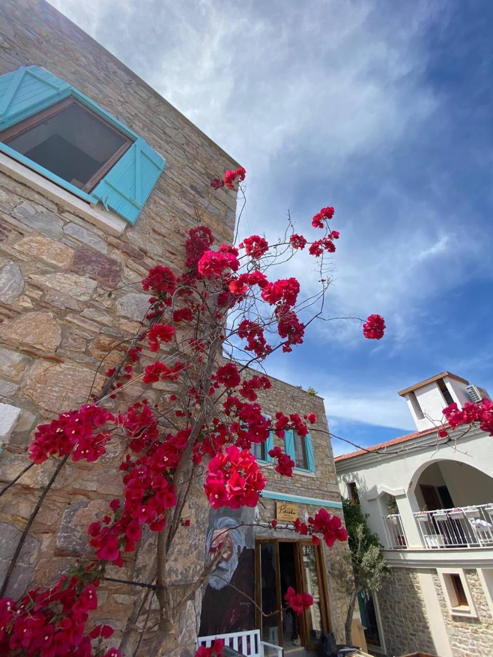 Patiska Butik Otel داتْشا المظهر الخارجي الصورة